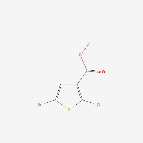 Methyl 5-bromo-2-chlorothiophene-3-carboxylate